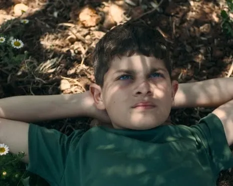 Israel's Minister of Culture Vows to Withdraw Ophir Awards Funding After Palestinian-Themed Film Takes Top Prize